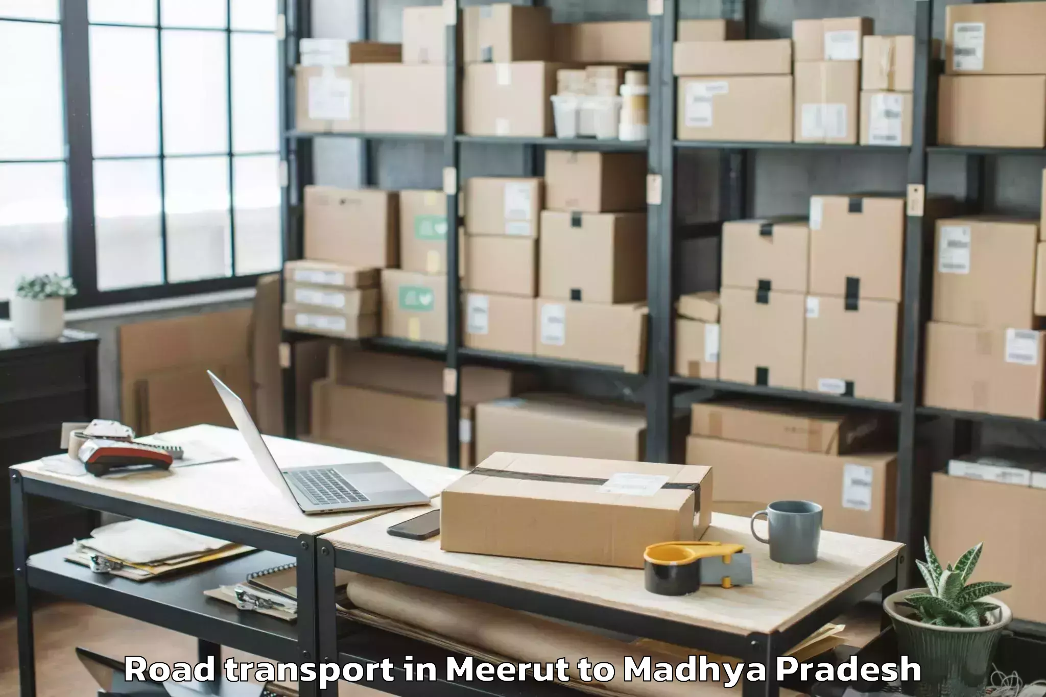 Book Meerut to Kalapipal Mandi Road Transport Online